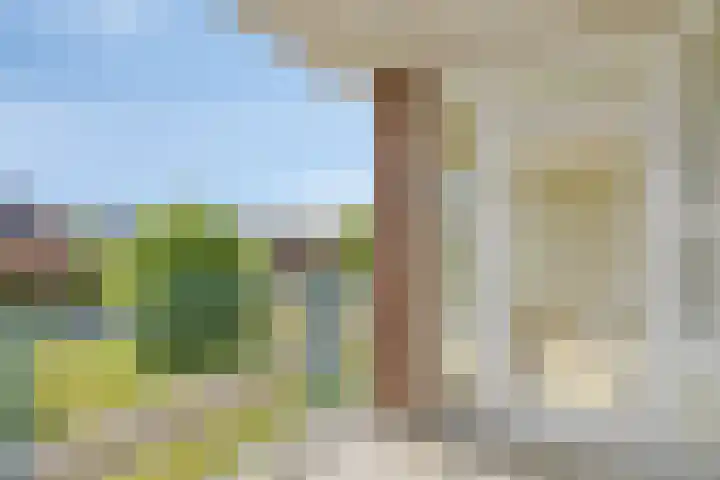 Parelgras 102 Houten thumbnail 11
