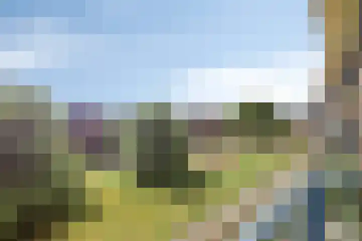 Parelgras 102 Houten thumbnail 12