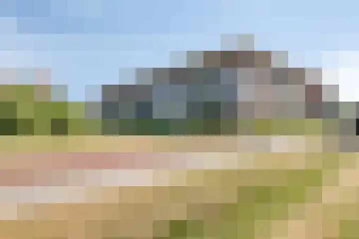 Parelgras 102 Houten thumbnail 34