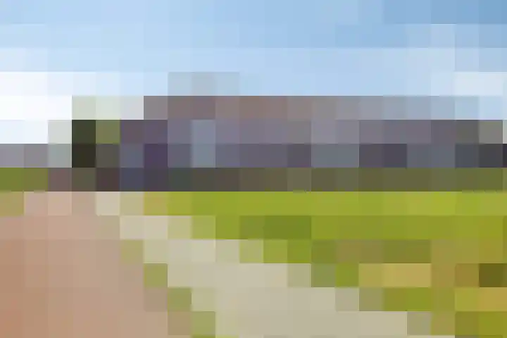 Parelgras 102 Houten thumbnail 35