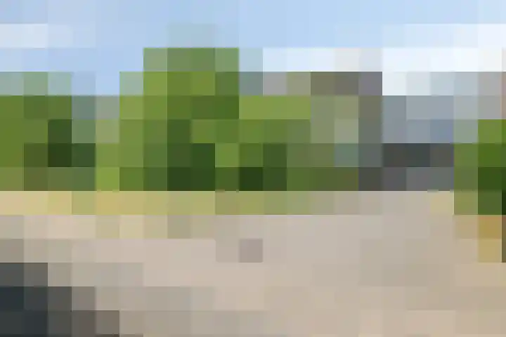 Parelgras 102 Houten thumbnail 36