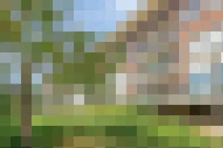 Parelgras 102 Houten thumbnail 37