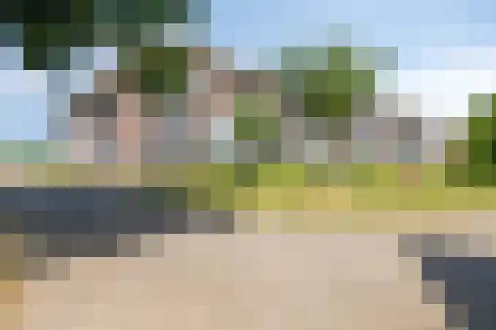 Parelgras 102 Houten thumbnail 42