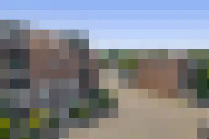 Parelgras 102 Spijkenisse thumbnail 10