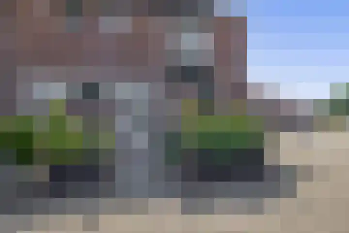 Parelgras 102 Spijkenisse thumbnail 11