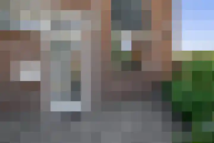 Parelgras 102 Spijkenisse thumbnail 12