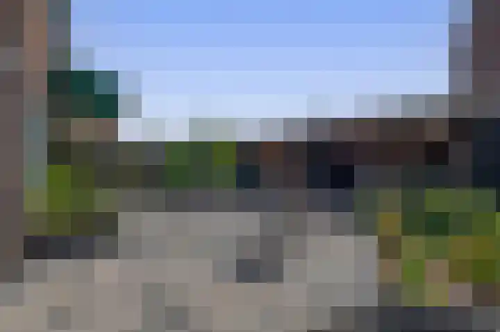 Parelgras 102 Spijkenisse thumbnail 26