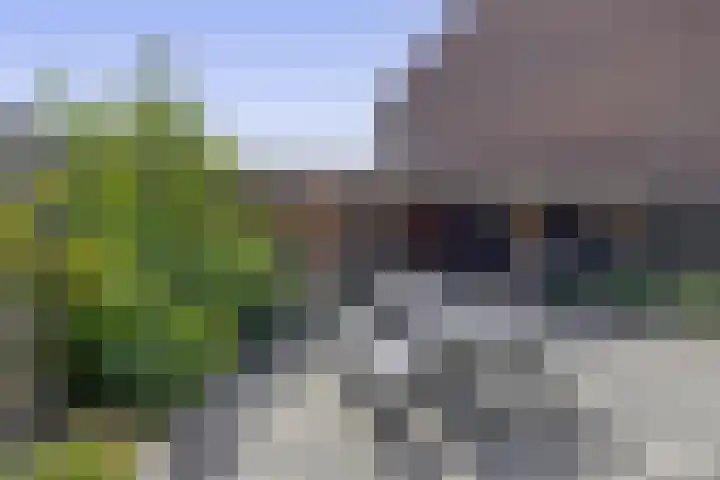 Parelgras 102 Spijkenisse thumbnail 5