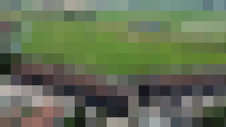 Parelgras 102 Spijkenisse thumbnail 6