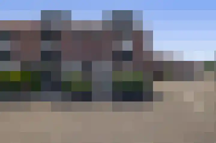 Parelgras 102 Spijkenisse thumbnail 8