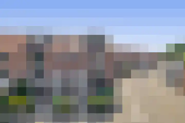 Parelgras 102 Spijkenisse thumbnail 9
