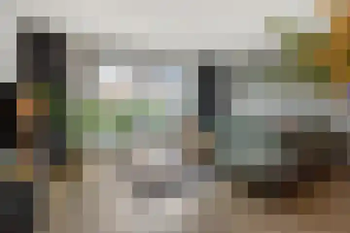 Parelgras 12 Heesch thumbnail 10