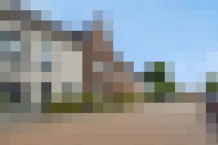 Parelgras 12 Heesch thumbnail 36