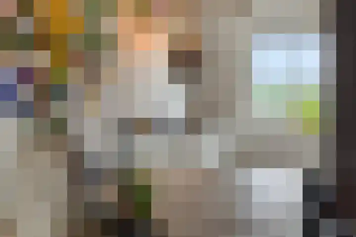 Parelgras 12 Heesch thumbnail 5