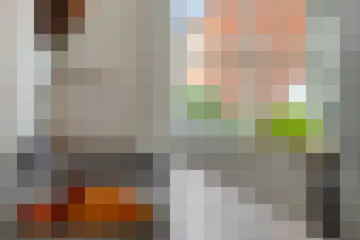 Parelgras 12 Heesch thumbnail 7