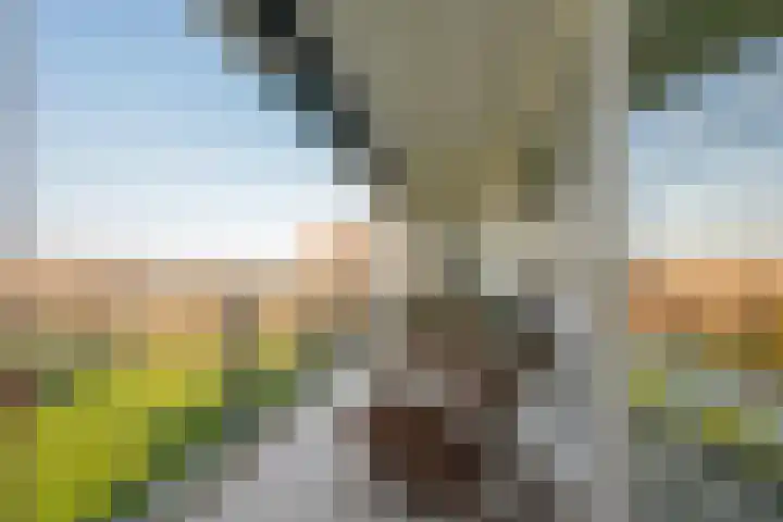 Parelgras 120 Houten thumbnail 13