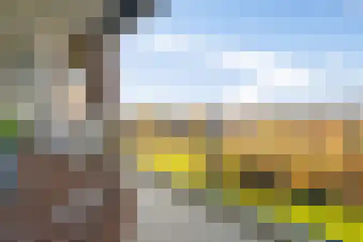 Parelgras 120 Houten thumbnail 14