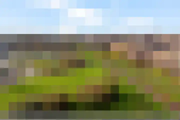 Parelgras 120 Houten thumbnail 15