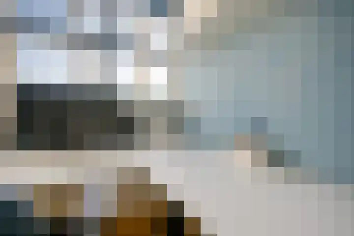 Parelgras 120 Houten thumbnail 21