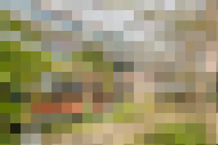 Parelgras 120 Houten thumbnail 32