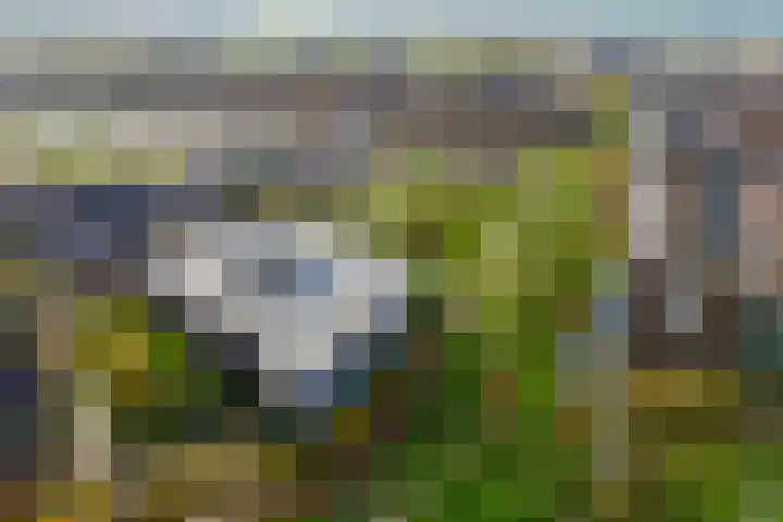 Parelgras 120 Houten thumbnail 35