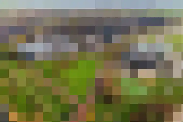 Parelgras 120 Houten thumbnail 36