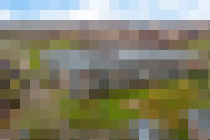 Parelgras 120 Houten thumbnail 37