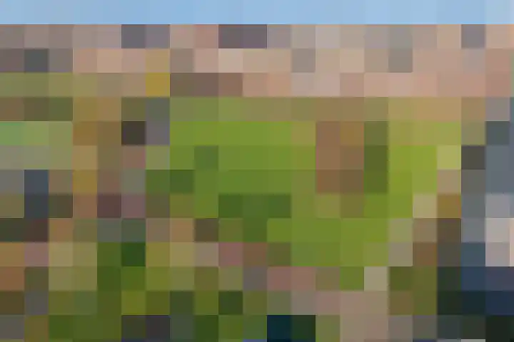 Parelgras 120 Houten thumbnail 39