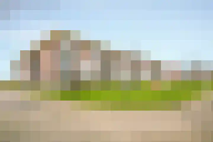Parelgras 120 Houten thumbnail 41