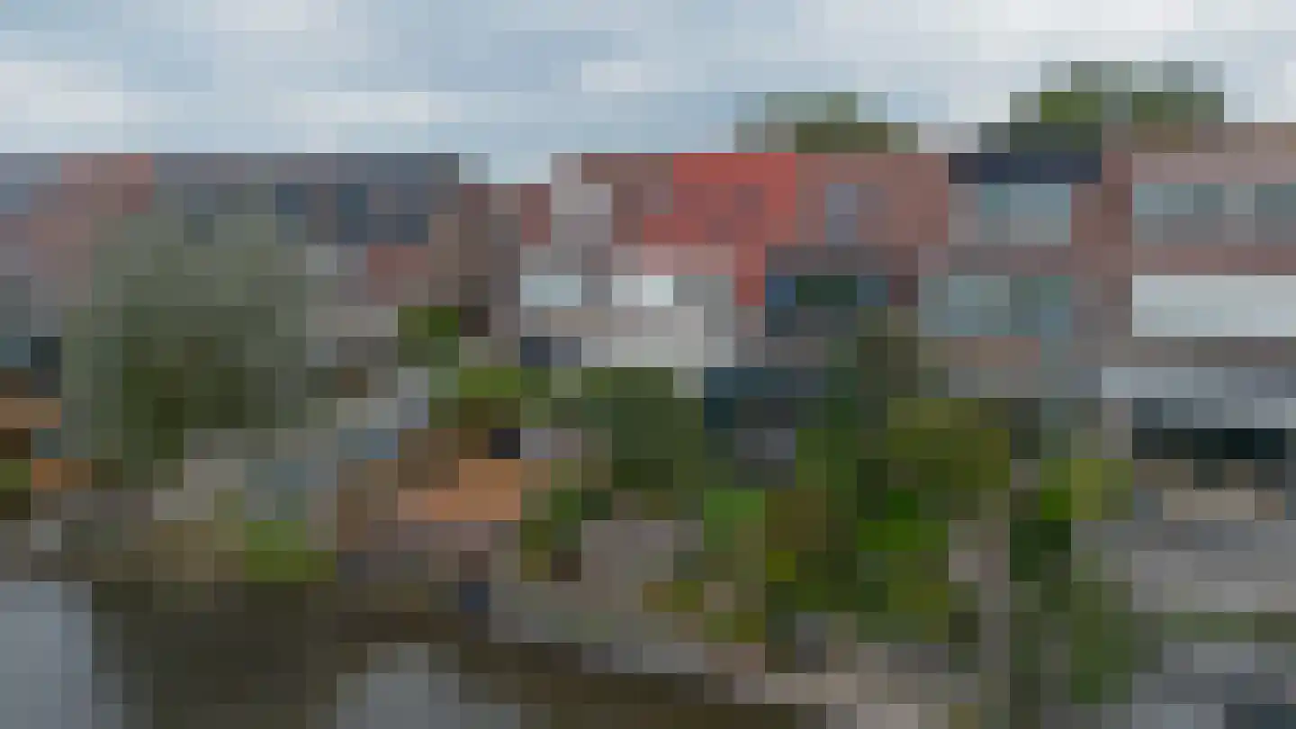 Parelgras 144 Spijkenisse thumbnail 44