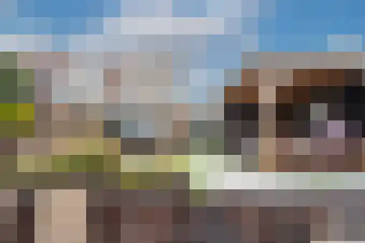 Parelgras 148 Spijkenisse thumbnail 5