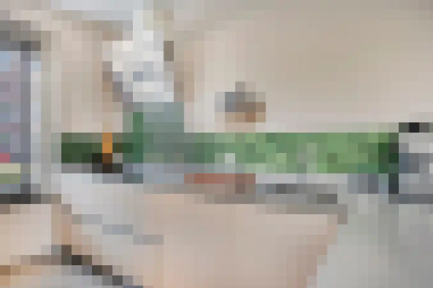 Parelgras 2 Heesch thumbnail 11