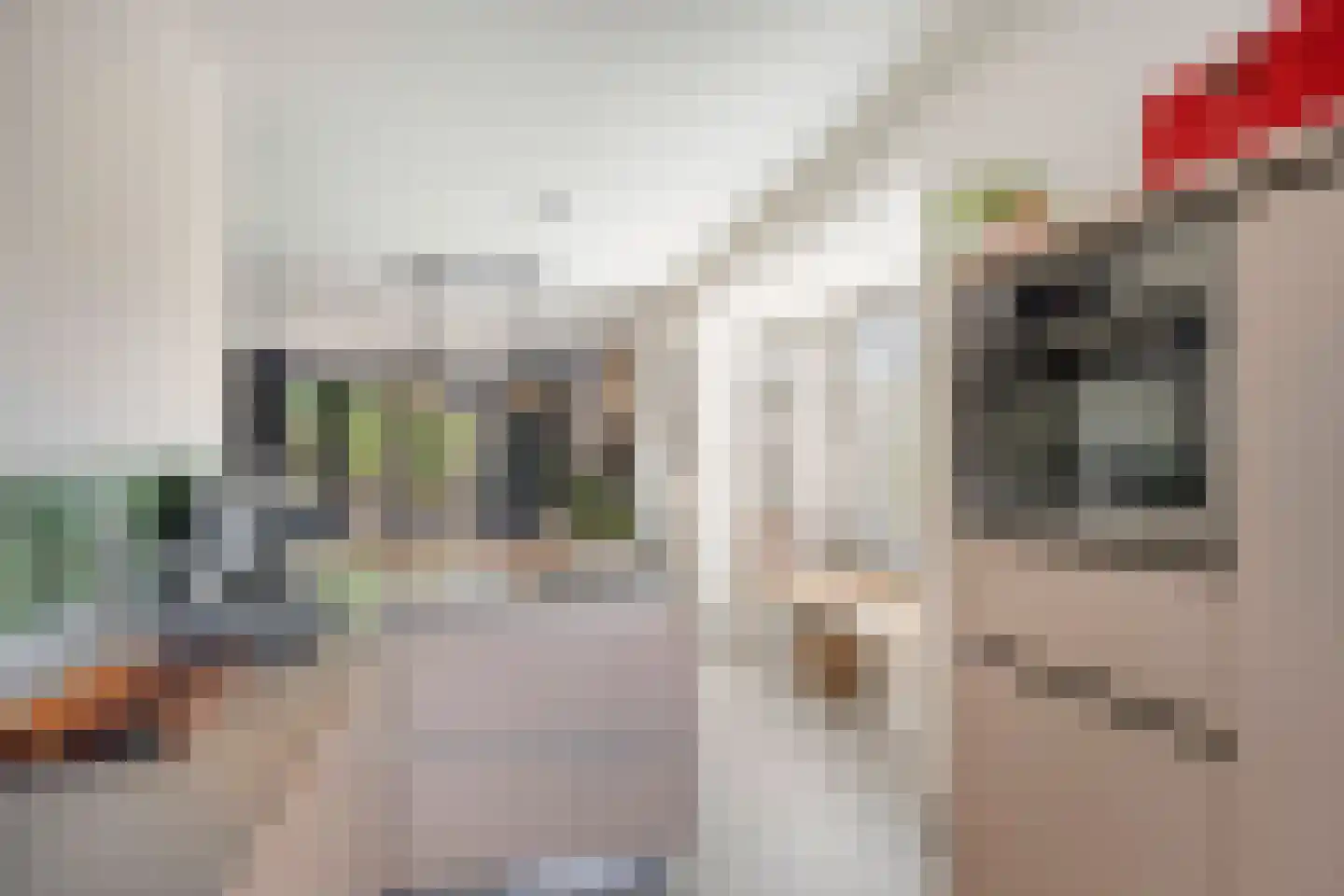 Parelgras 2 Heesch thumbnail 12