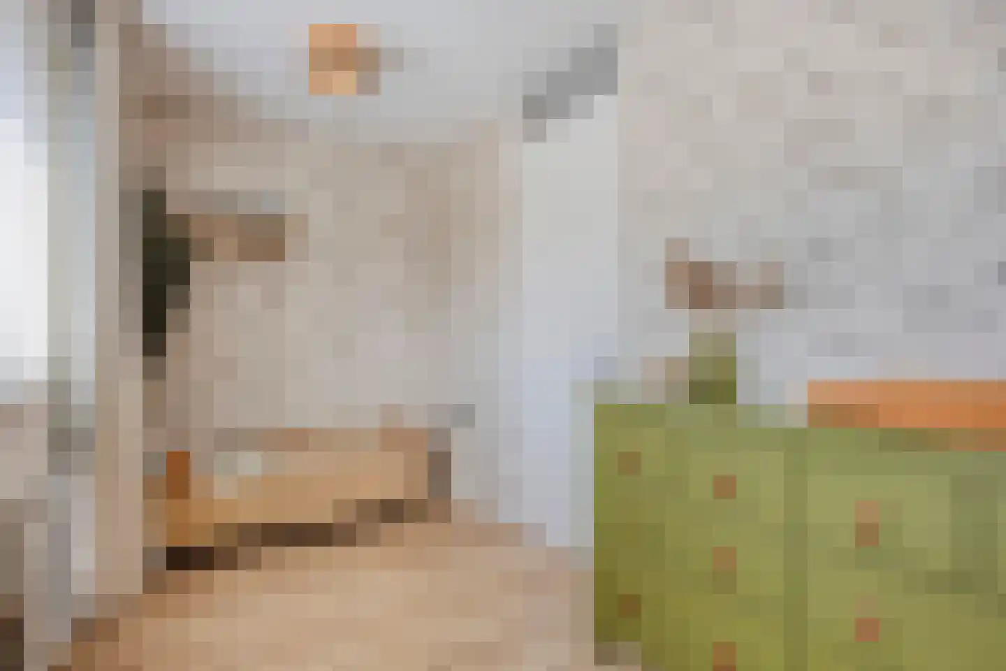 Parelgras 2 Heesch thumbnail 18
