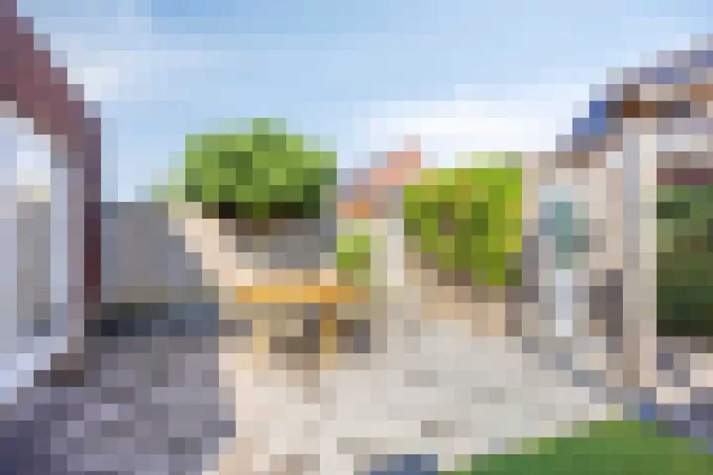 Parelgras 2 Heesch thumbnail 29