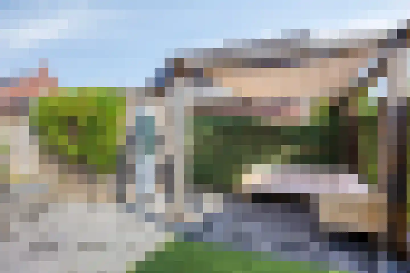 Parelgras 2 Heesch thumbnail 30