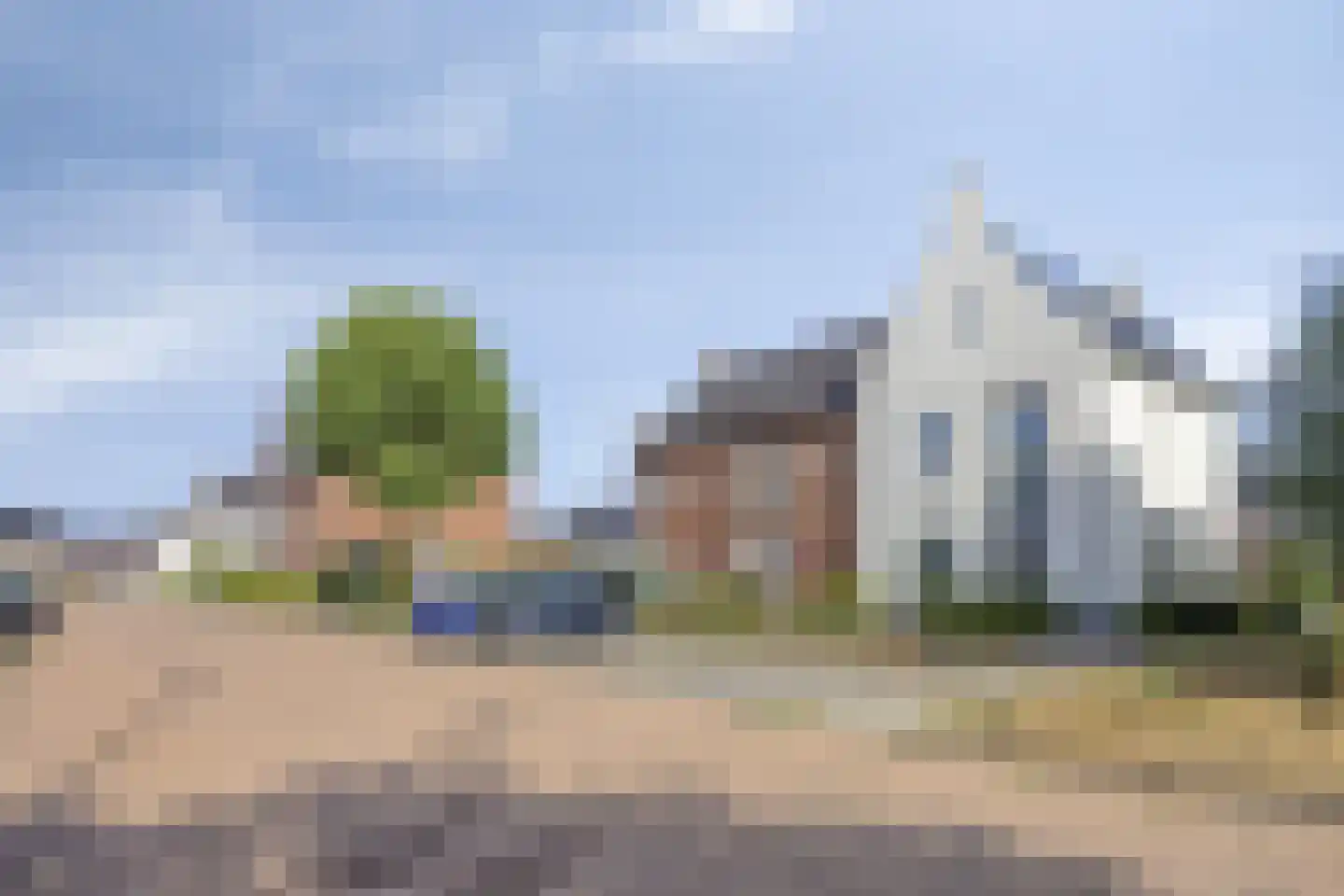 Parelgras 2 Heesch thumbnail 33