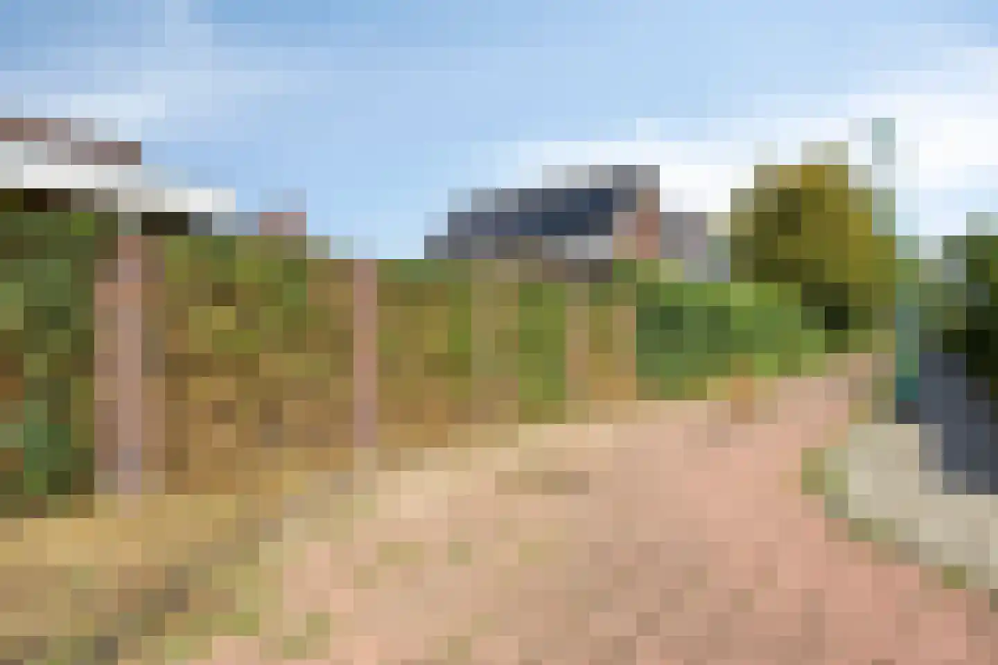 Parelgras 2 Heesch thumbnail 36