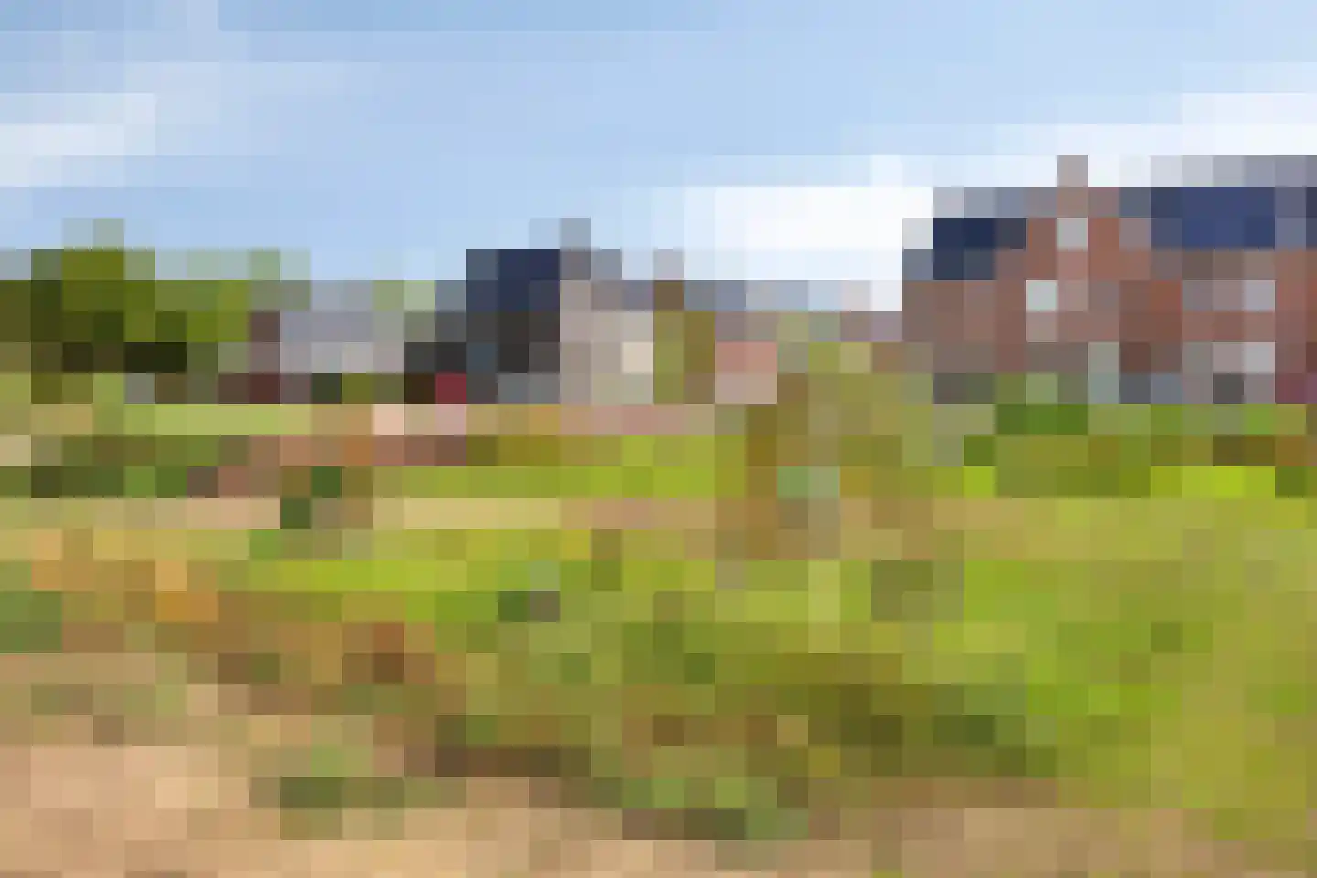 Parelgras 2 Heesch thumbnail 38