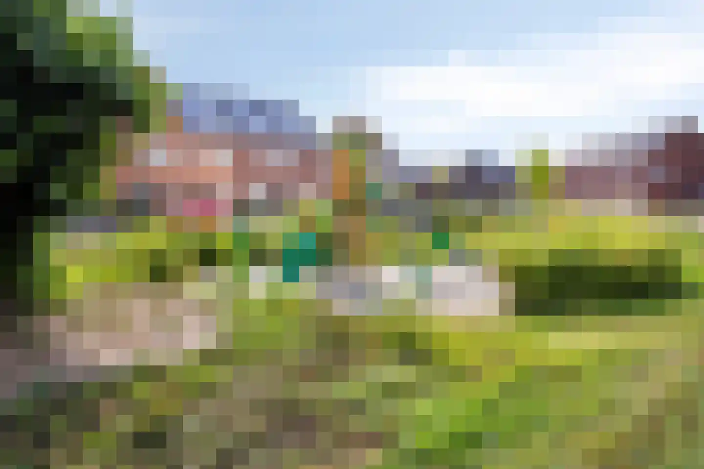 Parelgras 2 Heesch thumbnail 39