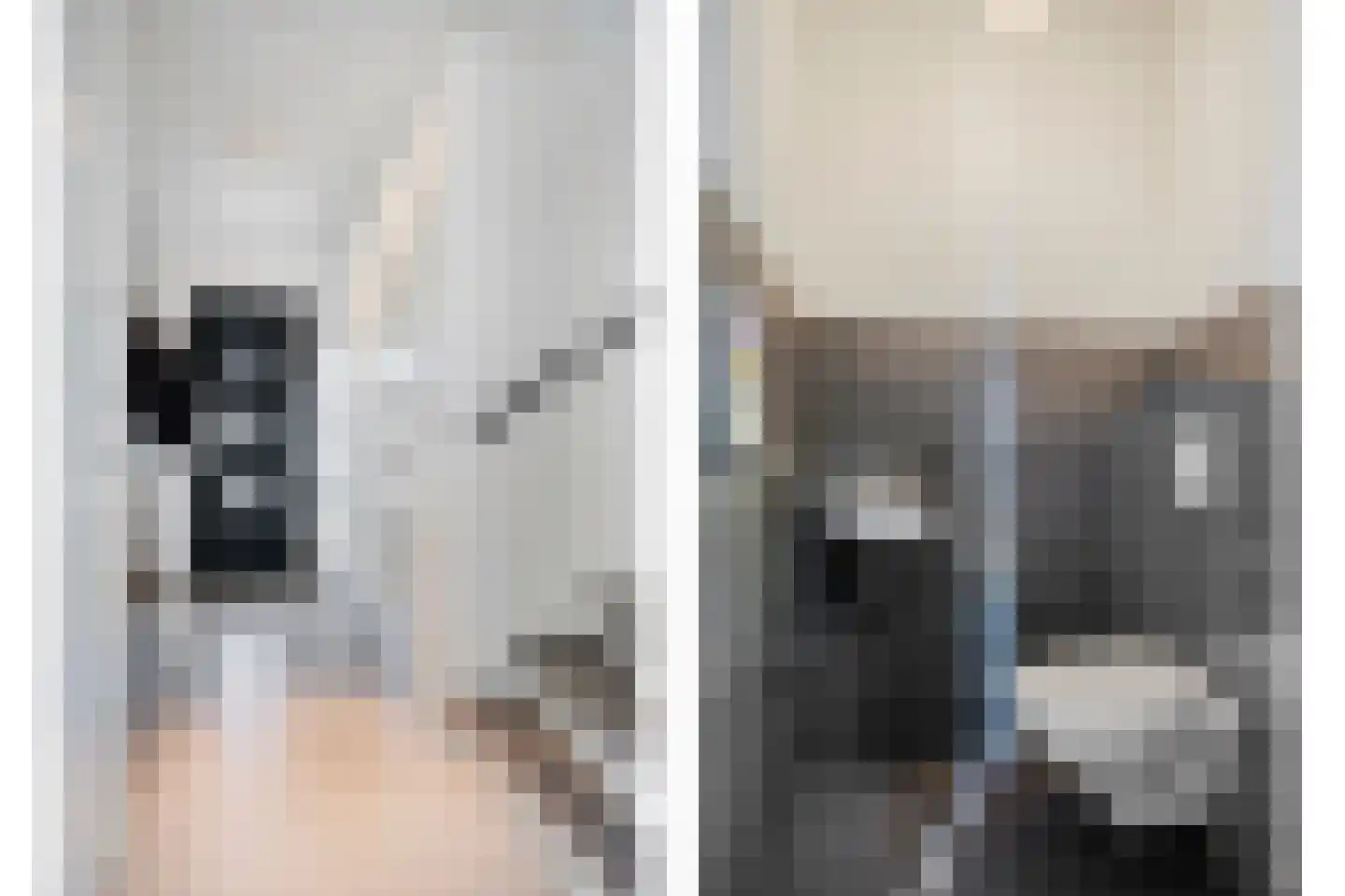 Parelgras 2 Heesch thumbnail 4