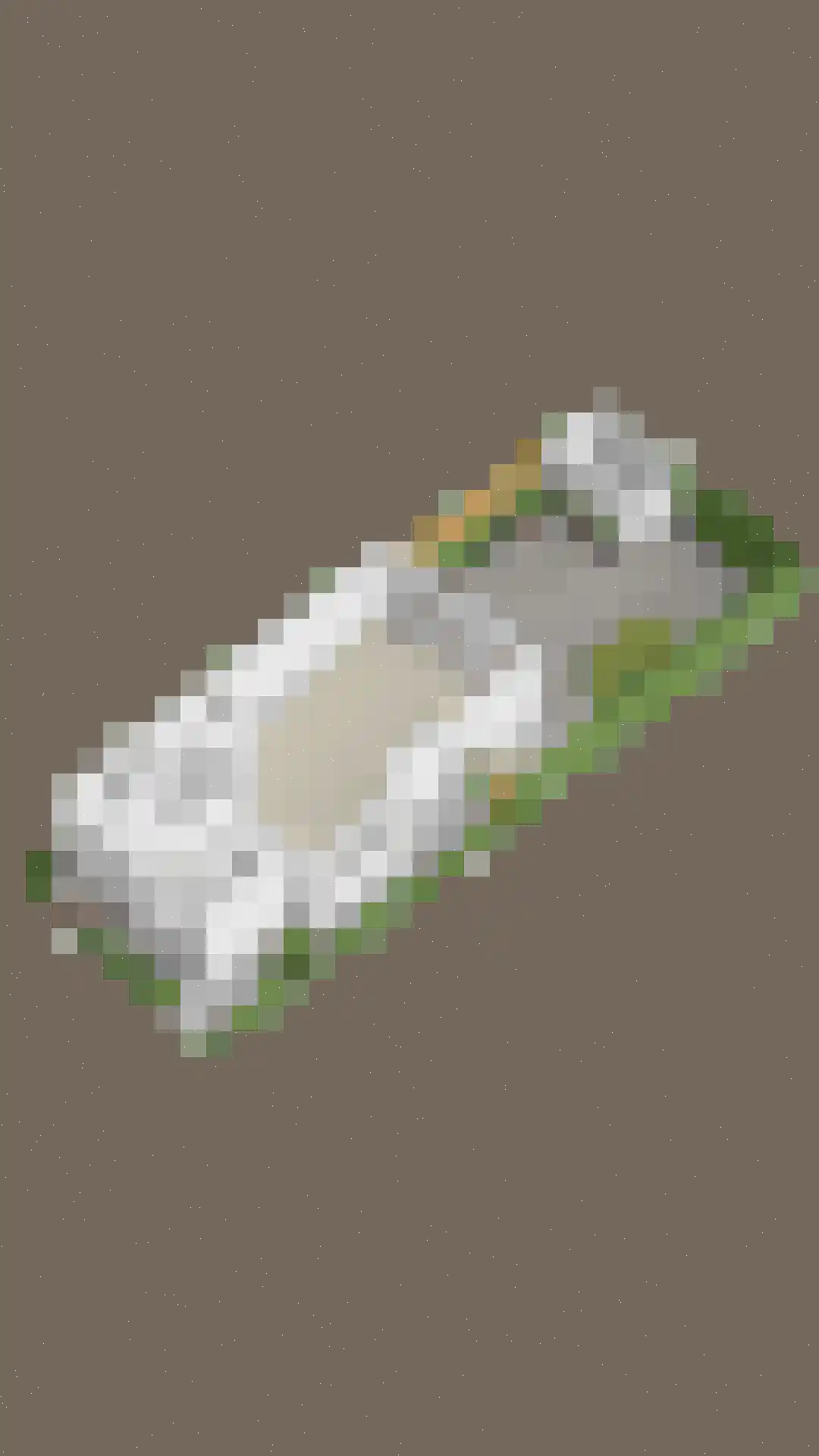 Parelgras 2 Heesch thumbnail 41