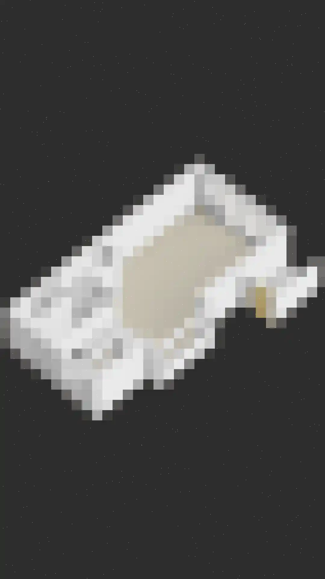 Parelgras 2 Heesch thumbnail 43