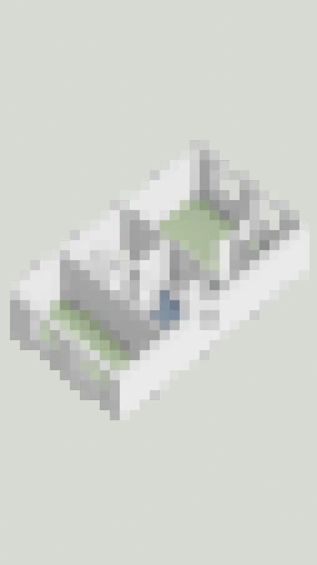Parelgras 2 Heesch thumbnail 45