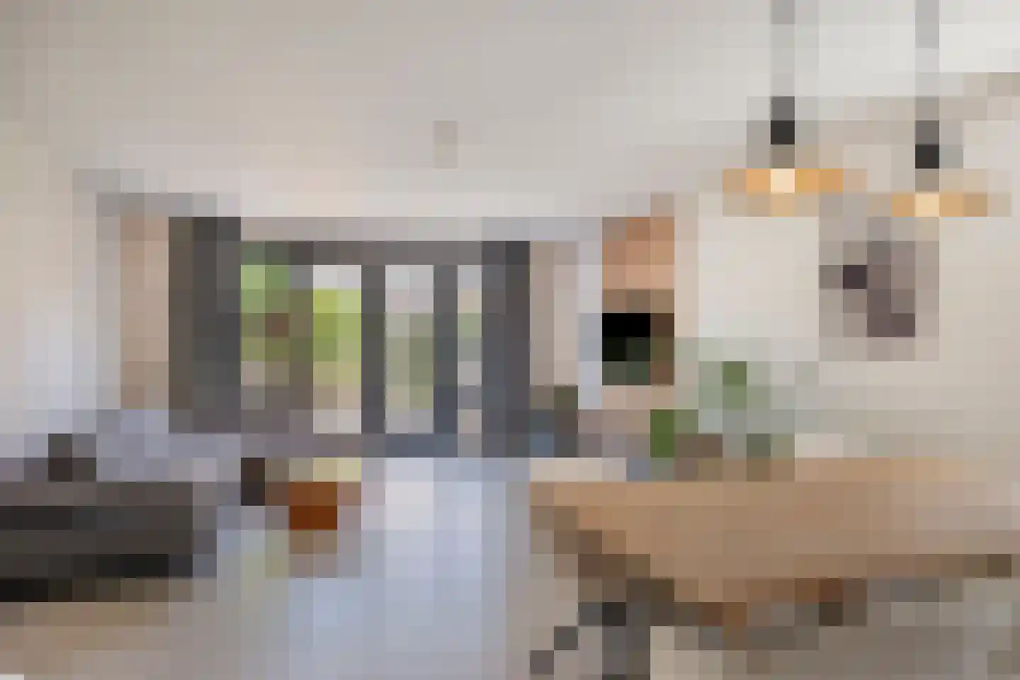 Parelgras 2 Heesch thumbnail 5