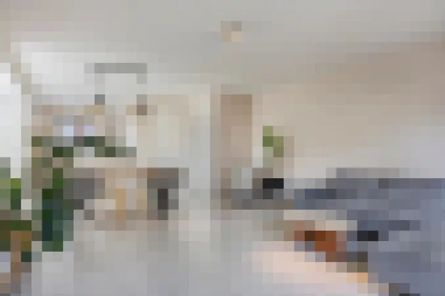 Parelgras 2 Heesch thumbnail 8
