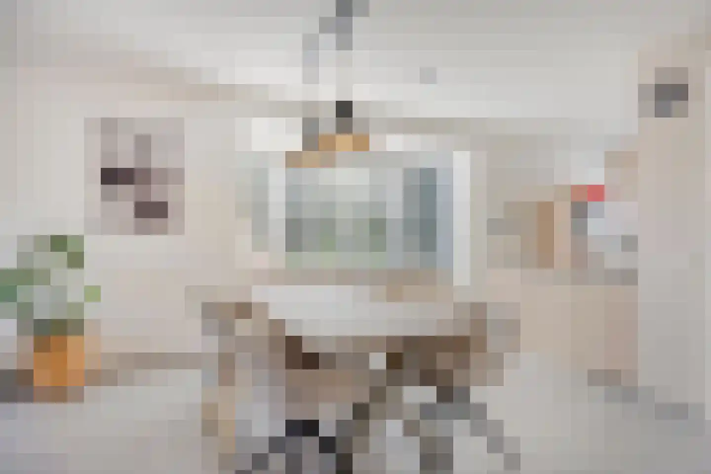 Parelgras 2 Heesch thumbnail 9