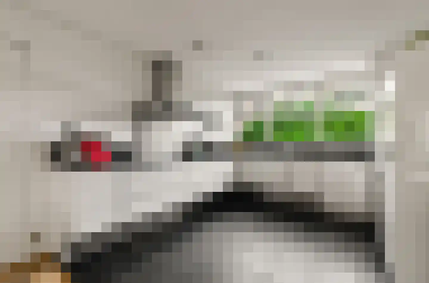 Parelgras 4 Houten thumbnail 10