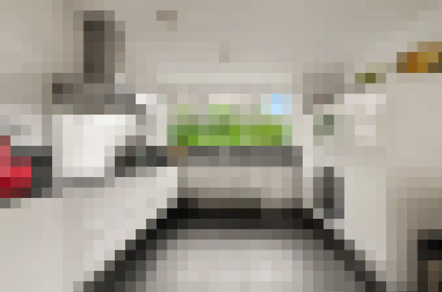 Parelgras 4 Houten thumbnail 11
