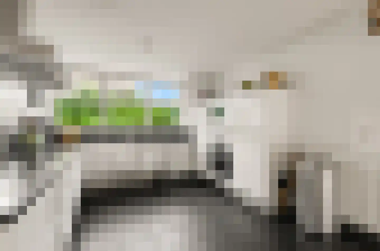 Parelgras 4 Houten thumbnail 12